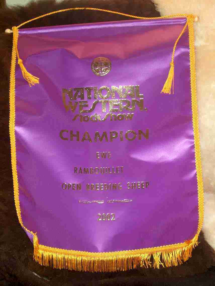 Champ Ribbon